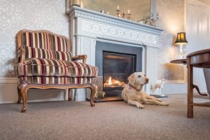 Golden labrador sitting in front of a fireplace