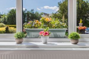 Flower pots on windowsill